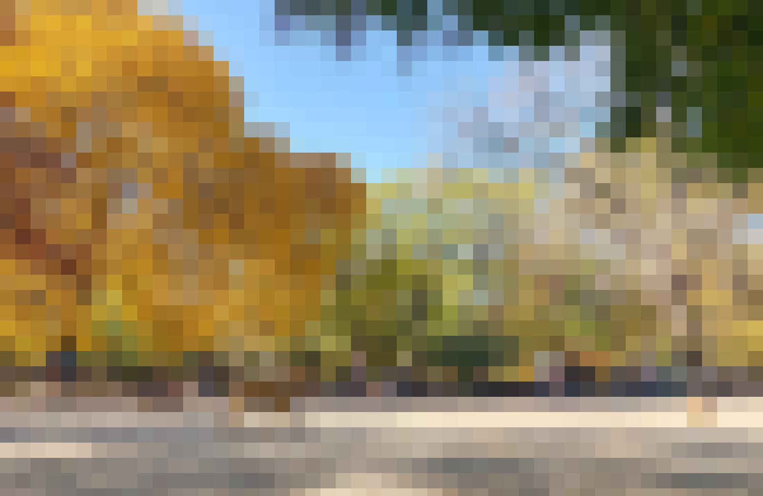 Tompkins_Sq_Dog_Park_Blur.jpg