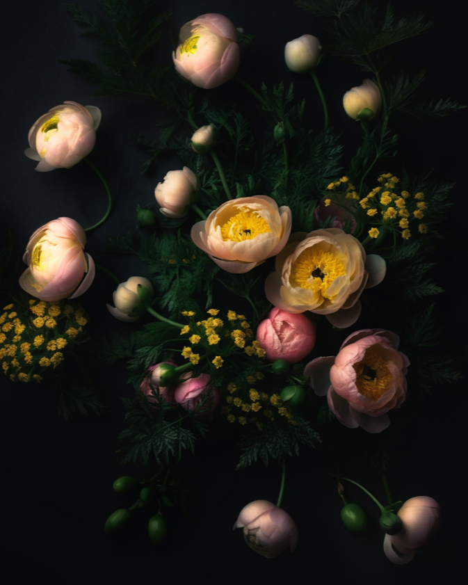 jagged_rounders_overhead_photo_of_bold_very_pale_pink_and_yello_8649152c-f8d6-4620-b452-608660edf30a.png