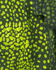 Painter's Jacket | Citrus Beach Pebble